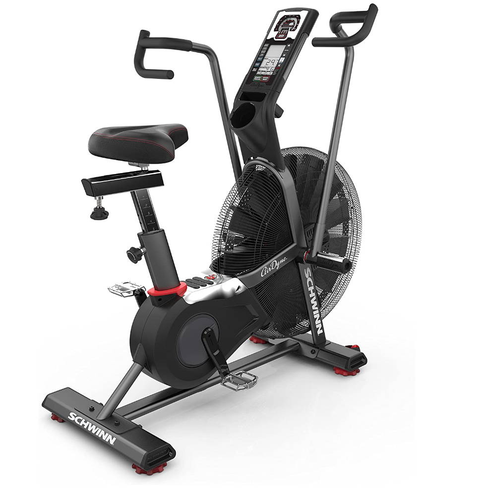 Rogue airdyne store